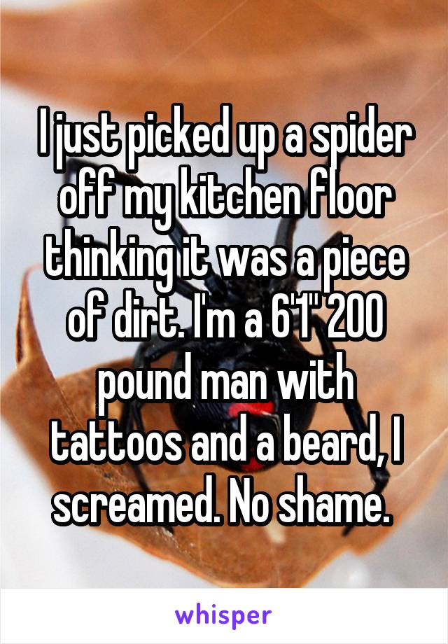 I just picked up a spider off my kitchen floor thinking it was a piece of dirt. I'm a 6'1" 200 pound man with tattoos and a beard, I screamed. No shame. 