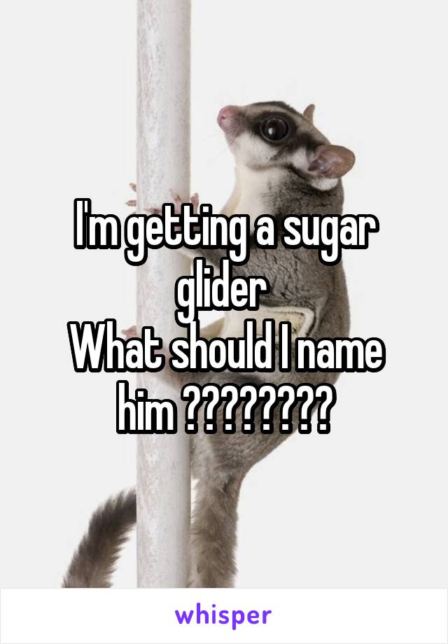 I'm getting a sugar glider 
What should I name him ????????