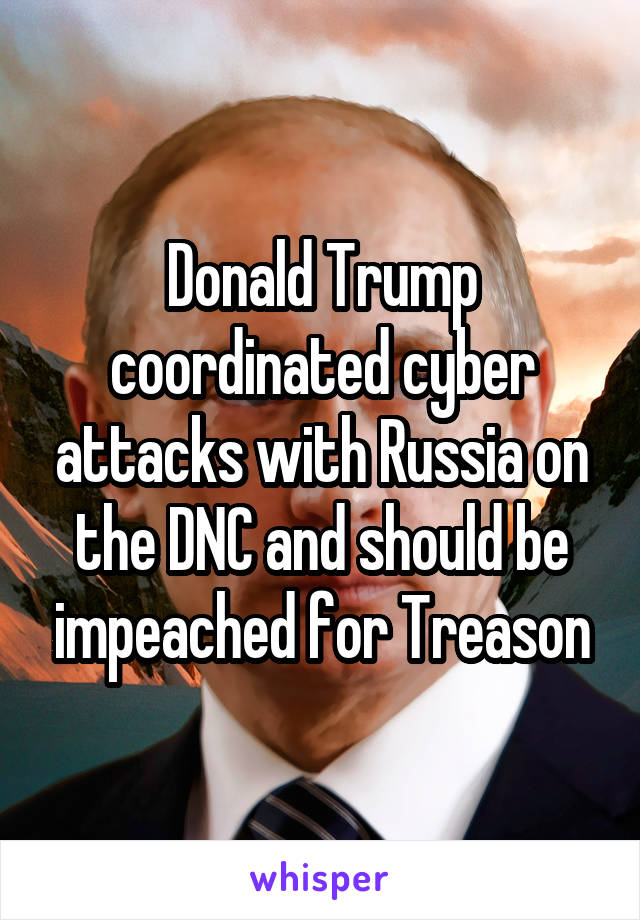 Donald Trump coordinated cyber attacks with Russia on the DNC and should be impeached for Treason