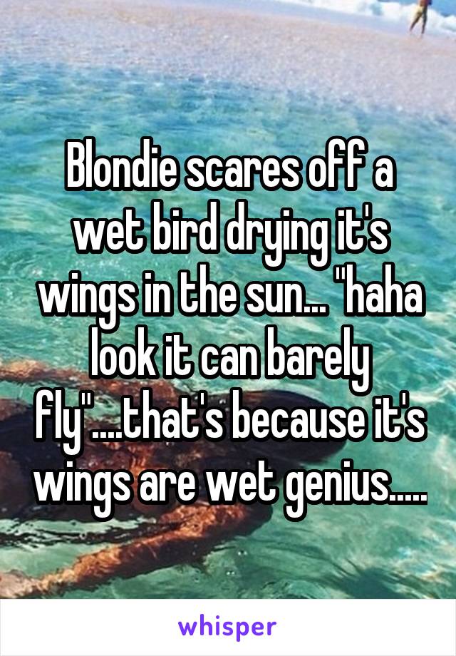 Blondie scares off a wet bird drying it's wings in the sun... "haha look it can barely fly"....that's because it's wings are wet genius.....