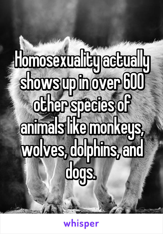 Homosexuality actually shows up in over 600 other species of animals like monkeys, wolves, dolphins, and dogs. 