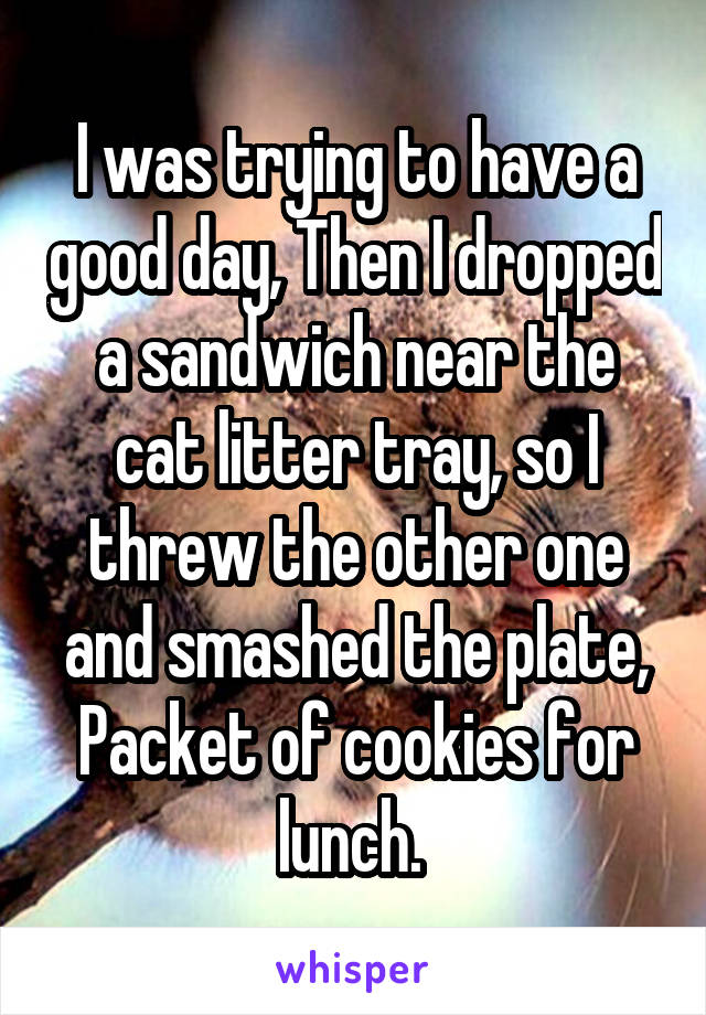 I was trying to have a good day, Then I dropped a sandwich near the cat litter tray, so I threw the other one and smashed the plate, Packet of cookies for lunch. 