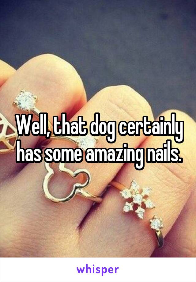 Well, that dog certainly has some amazing nails.