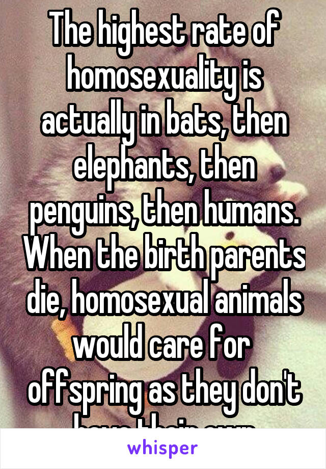 The highest rate of homosexuality is actually in bats, then elephants, then penguins, then humans. When the birth parents die, homosexual animals would care for  offspring as they don't have their own