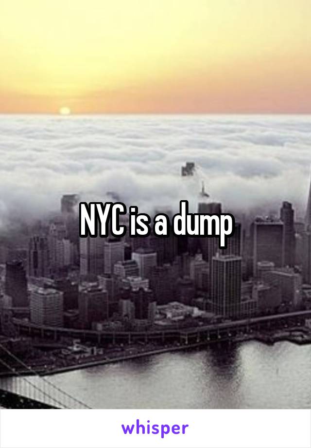 NYC is a dump