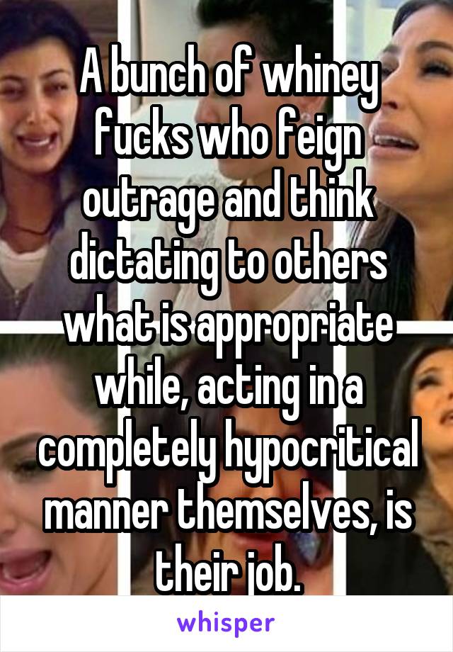 A bunch of whiney fucks who feign outrage and think dictating to others what is appropriate while, acting in a completely hypocritical manner themselves, is their job.