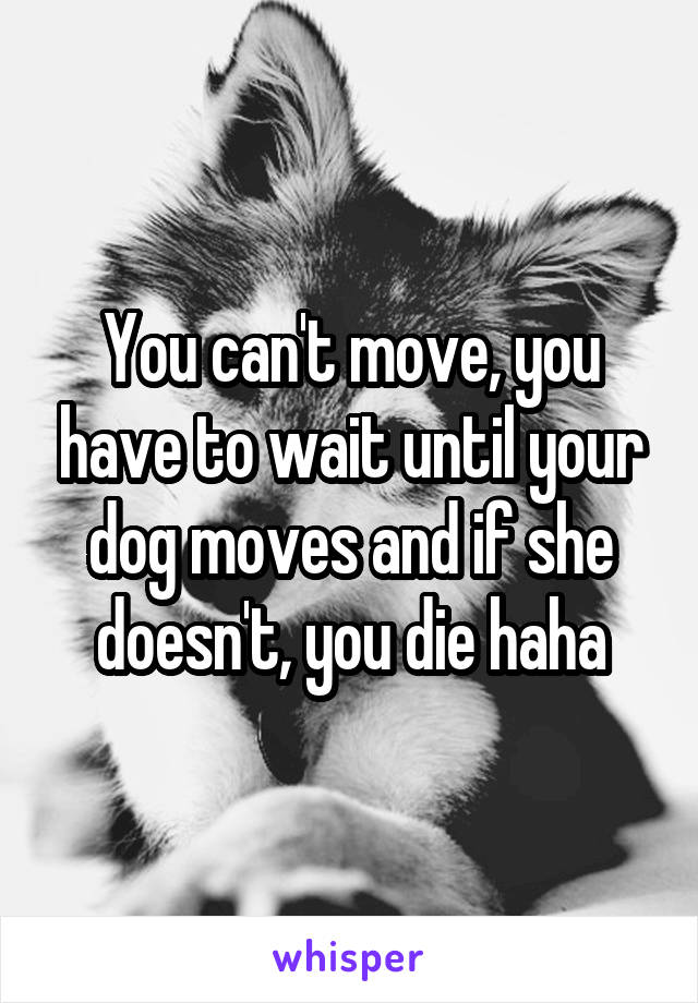 You can't move, you have to wait until your dog moves and if she doesn't, you die haha