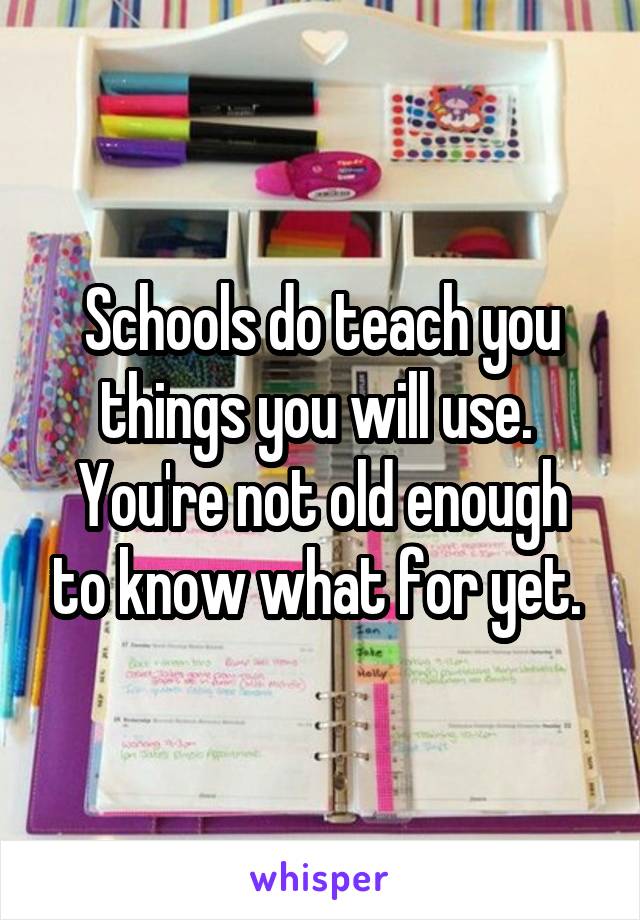 Schools do teach you things you will use. 
You're not old enough to know what for yet. 