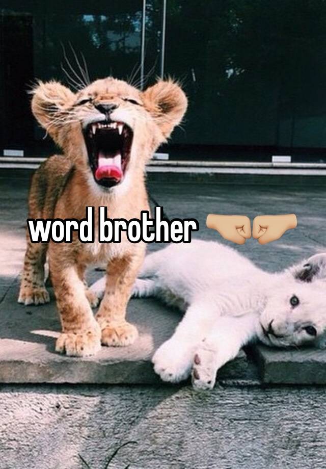 What Does The Word Brother Mean In The Bible