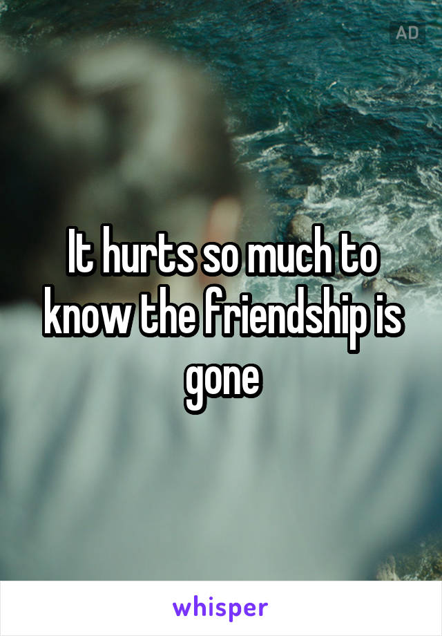 It hurts so much to know the friendship is gone