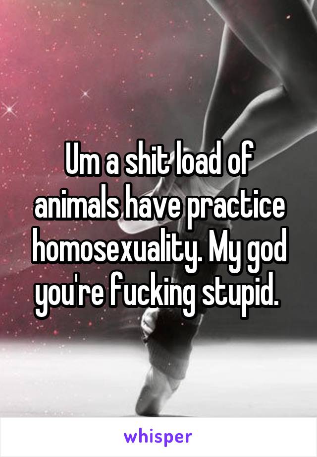 Um a shit load of animals have practice homosexuality. My god you're fucking stupid. 