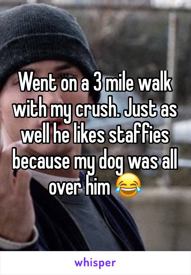 Went on a 3 mile walk with my crush. Just as well he likes staffies because my dog was all over him 😂