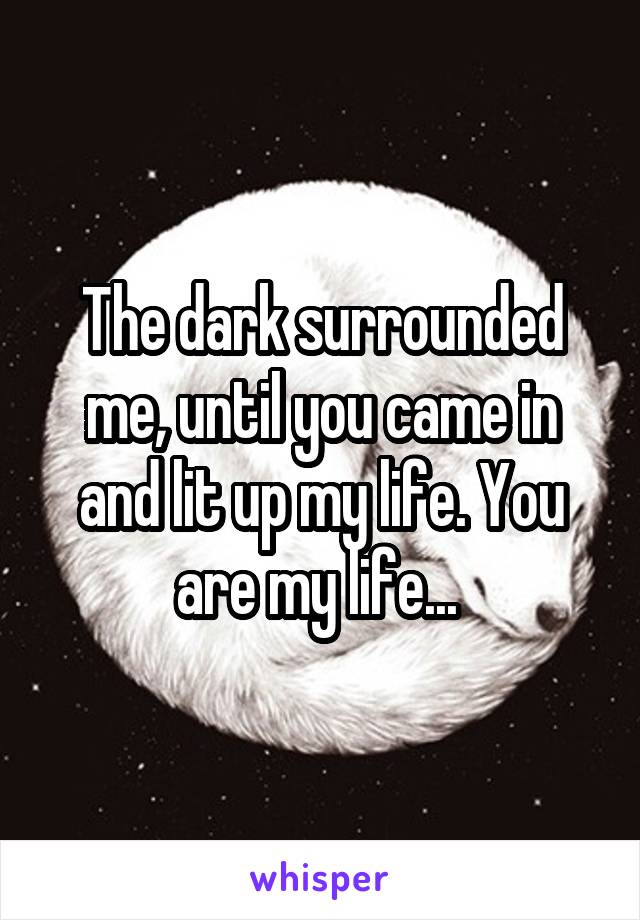 The dark surrounded me, until you came in and lit up my life. You are my life... 