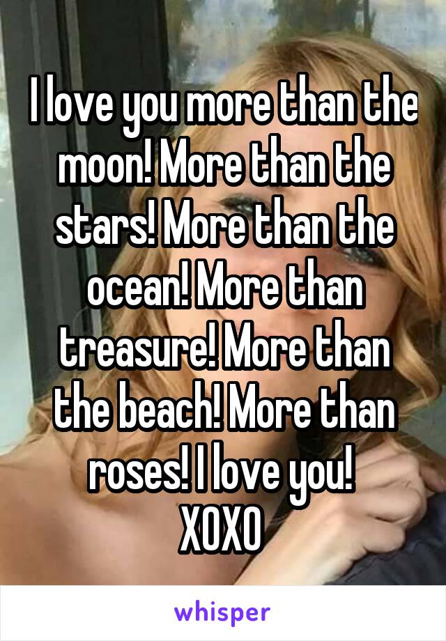 I love you more than the moon! More than the stars! More than the ocean! More than treasure! More than the beach! More than roses! I love you! 
XOXO 