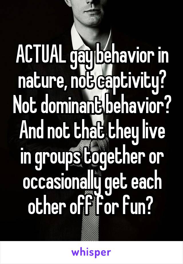 ACTUAL gay behavior in nature, not captivity? Not dominant behavior? And not that they live in groups together or occasionally get each other off for fun? 