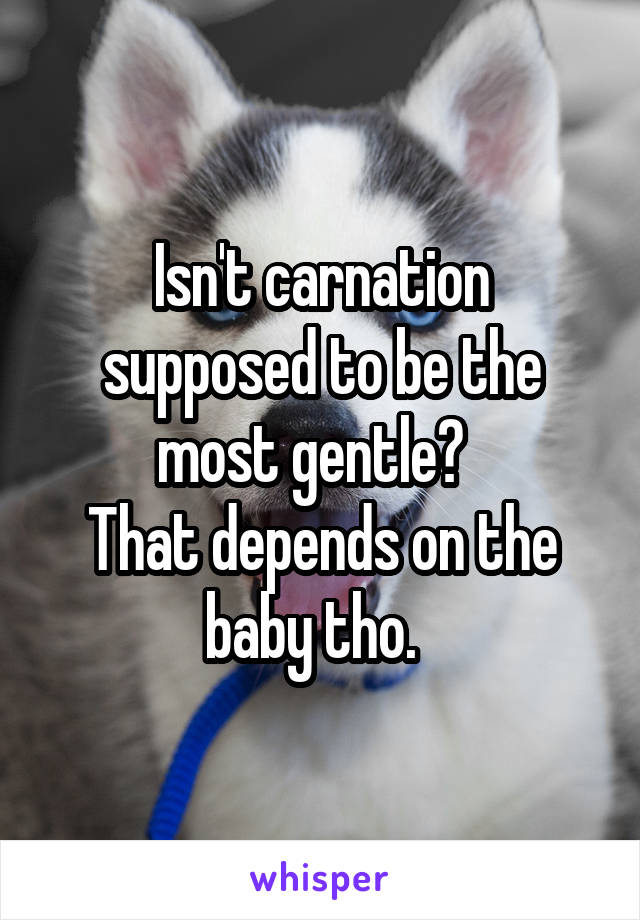 Isn't carnation supposed to be the most gentle?  
That depends on the baby tho.  