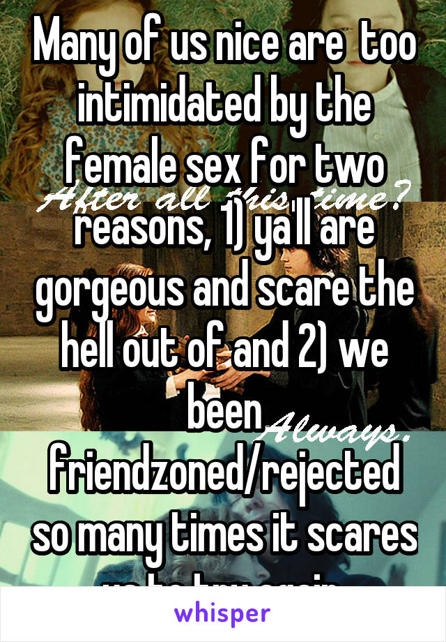 Many of us nice are  too intimidated by the female sex for two reasons, 1) ya'll are gorgeous and scare the hell out of and 2) we been friendzoned/rejected so many times it scares us to try again.