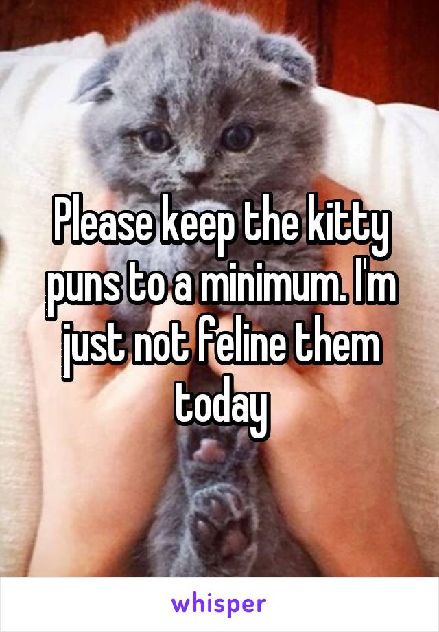 Please keep the kitty puns to a minimum. I'm just not feline them today