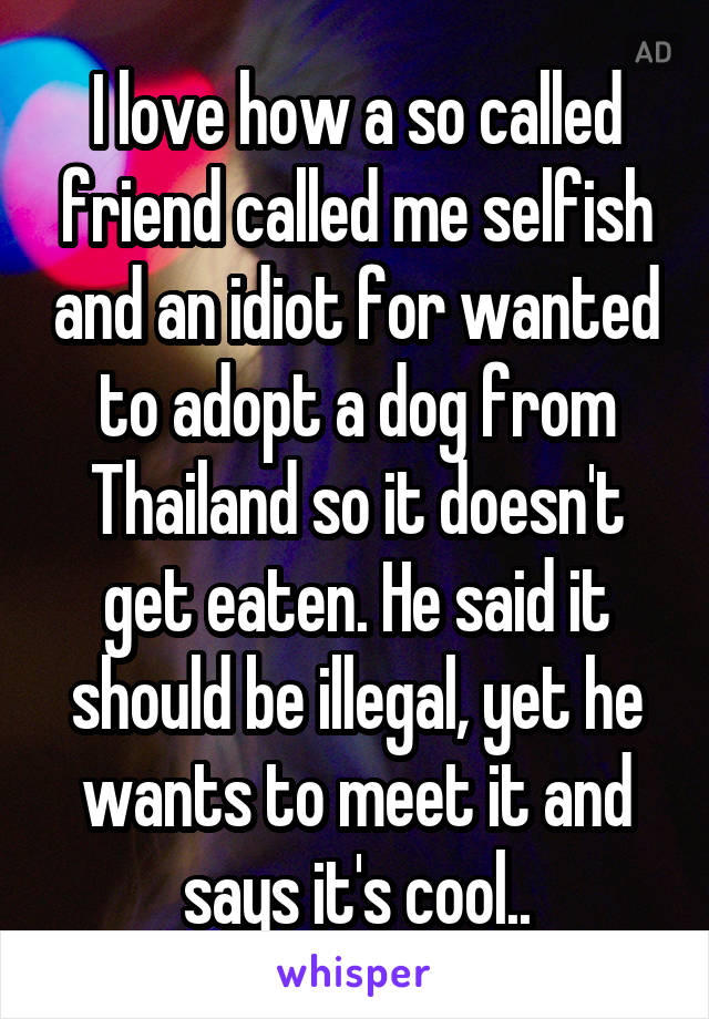 I love how a so called friend called me selfish and an idiot for wanted to adopt a dog from Thailand so it doesn't get eaten. He said it should be illegal, yet he wants to meet it and says it's cool..