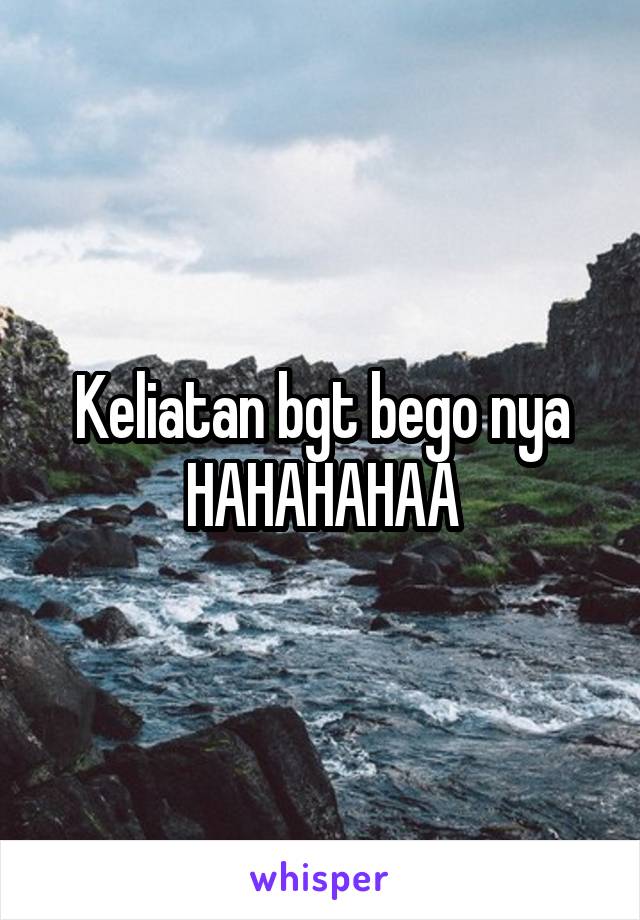 Keliatan bgt bego nya HAHAHAHAA