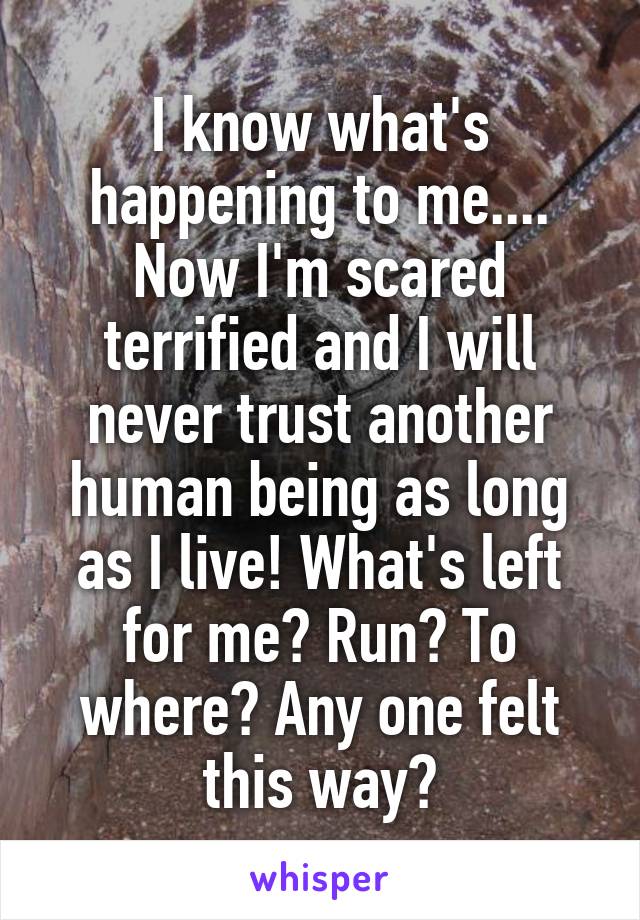 I know what's happening to me.... Now I'm scared terrified and I will never trust another human being as long as I live! What's left for me? Run? To where? Any one felt this way?