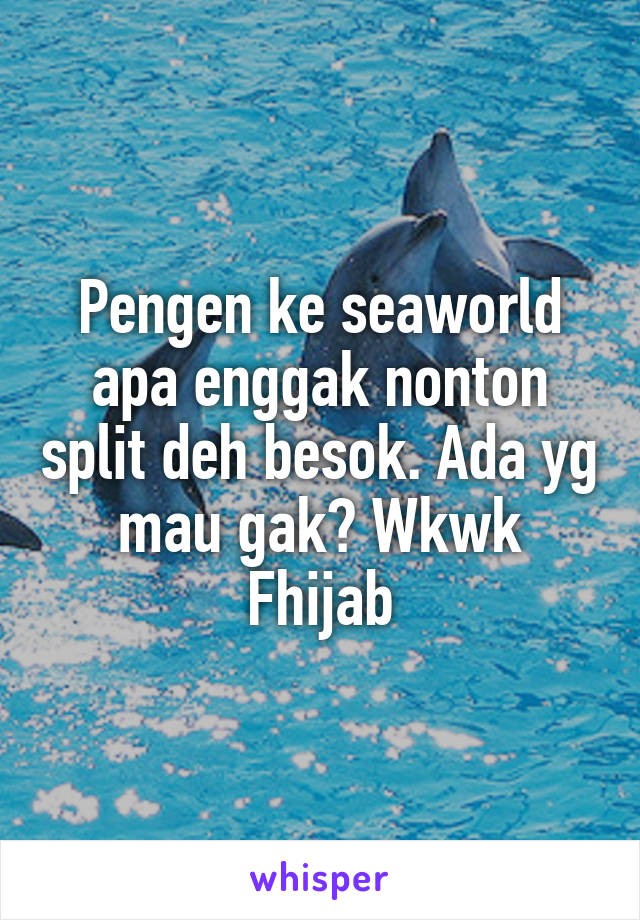 Pengen ke seaworld apa enggak nonton split deh besok. Ada yg mau gak? Wkwk
Fhijab