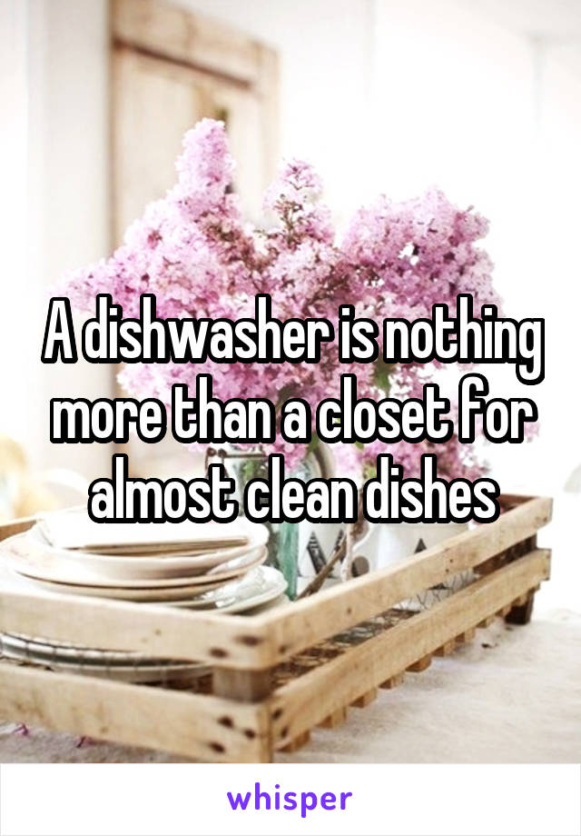 A dishwasher is nothing more than a closet for almost clean dishes