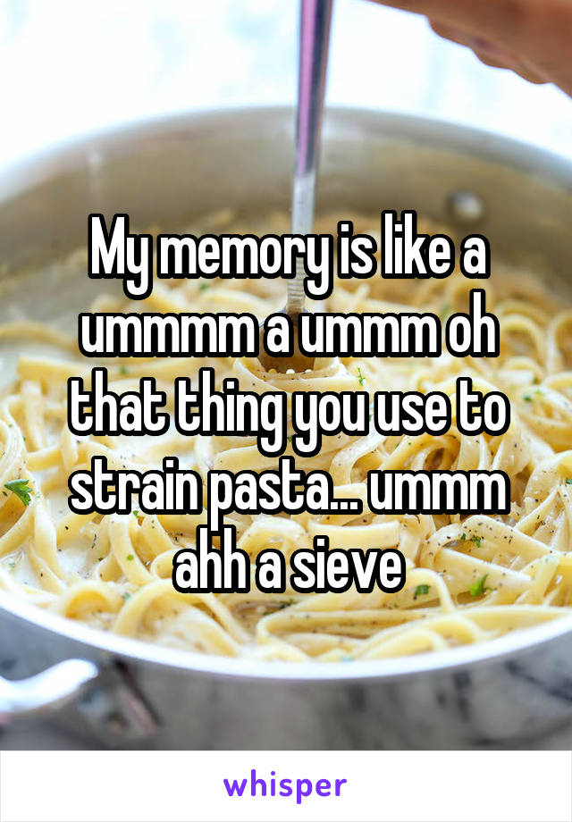 My memory is like a ummmm a ummm oh that thing you use to strain pasta... ummm ahh a sieve