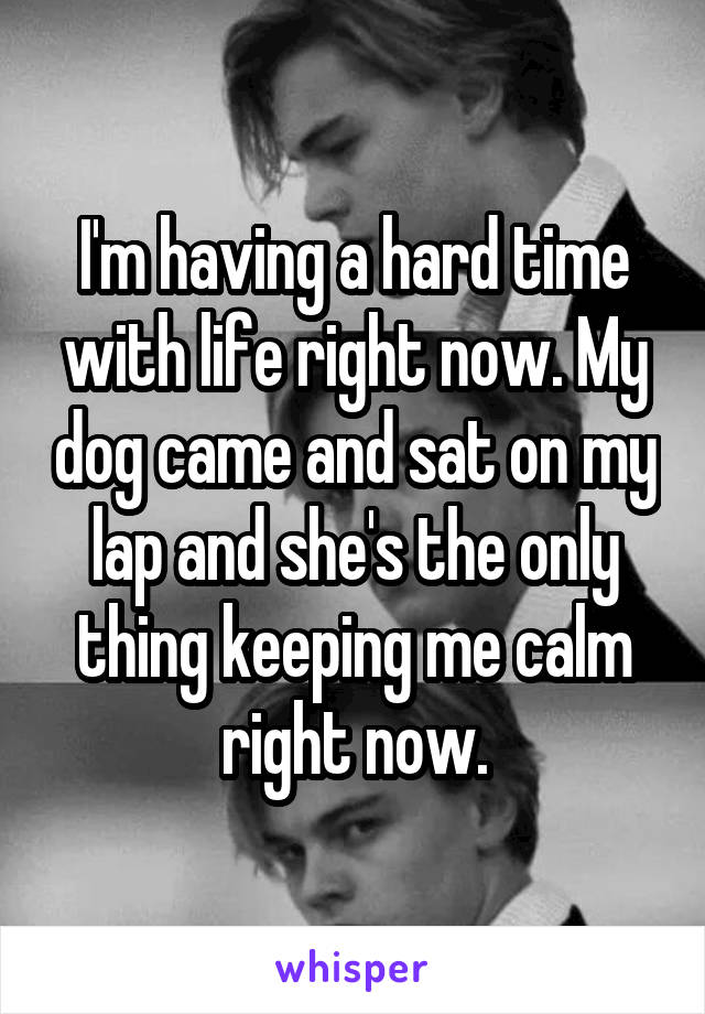 I'm having a hard time with life right now. My dog came and sat on my lap and she's the only thing keeping me calm right now.