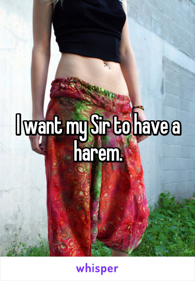 I want my Sir to have a harem.