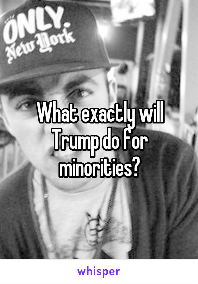 What exactly will Trump do for minorities?