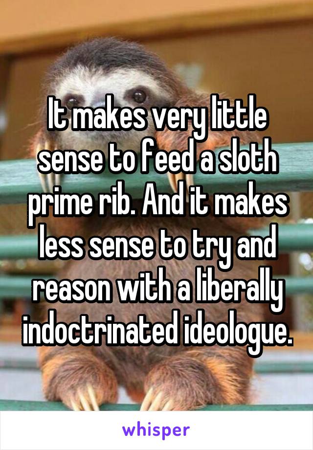 It makes very little sense to feed a sloth prime rib. And it makes less sense to try and reason with a liberally indoctrinated ideologue.