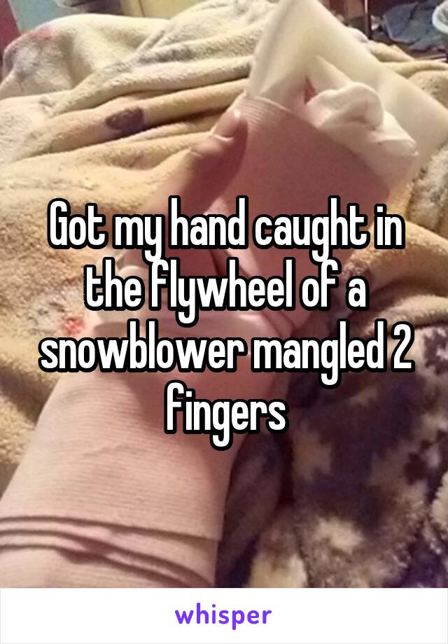 Got my hand caught in the flywheel of a snowblower mangled 2 fingers