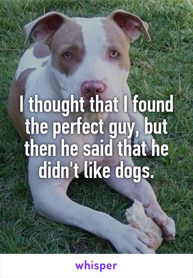 I thought that I found the perfect guy, but then he said that he didn't like dogs.