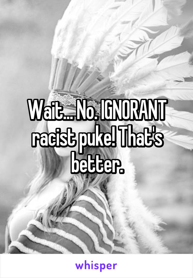 Wait... No. IGNORANT racist puke! That's better.