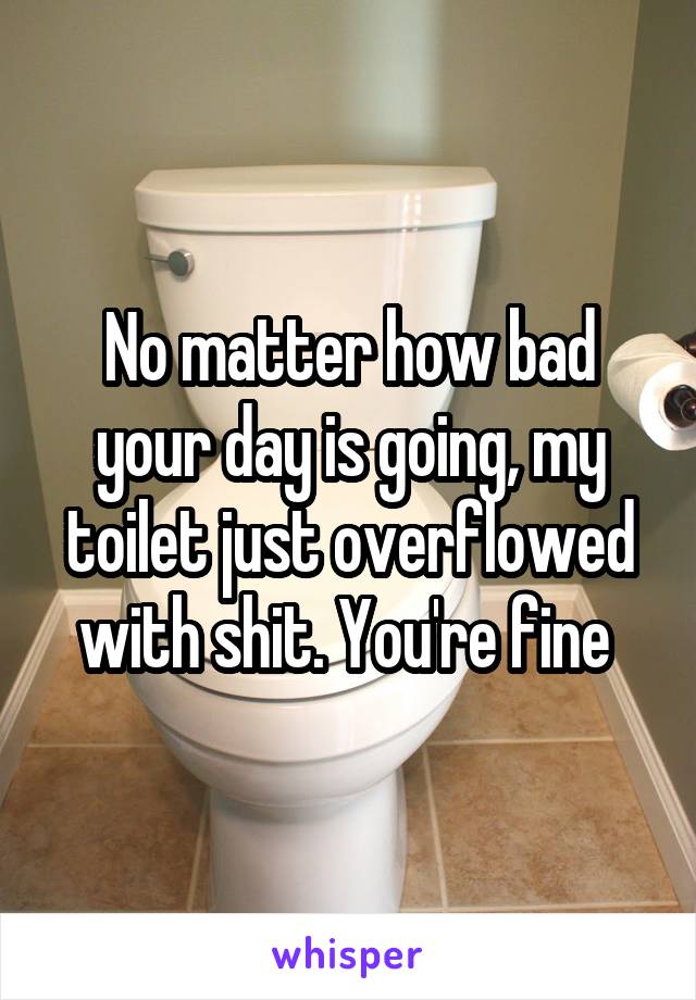 No matter how bad your day is going, my toilet just overflowed with shit. You're fine 