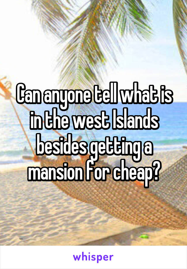 Can anyone tell what is in the west Islands besides getting a mansion for cheap?