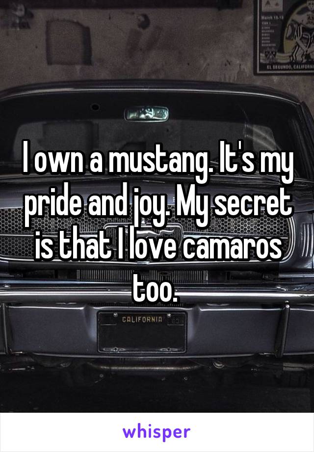 I own a mustang. It's my pride and joy. My secret is that I love camaros too. 