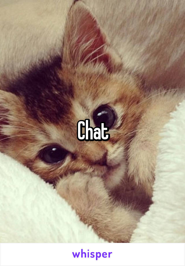 Chat