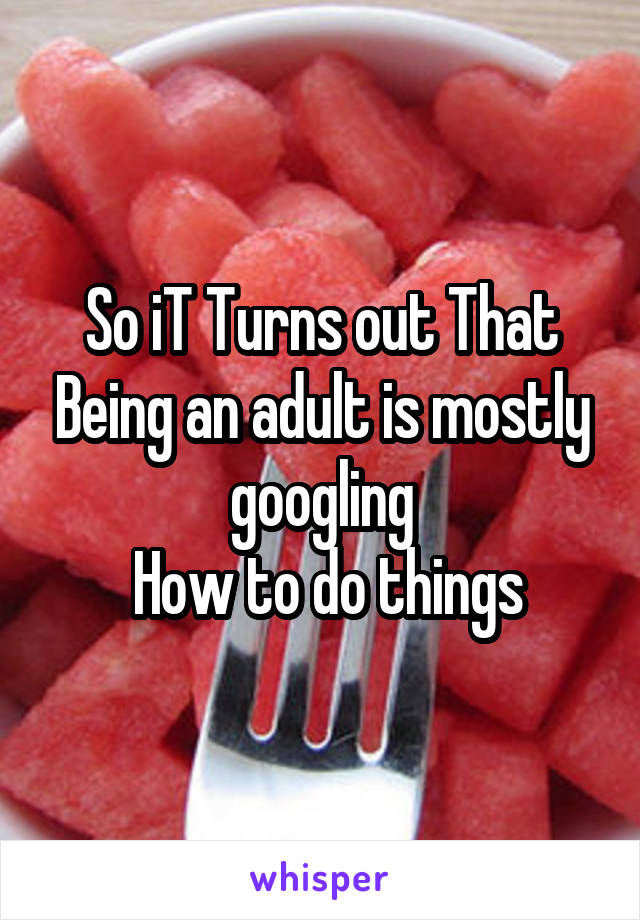 So iT Turns out That Being an adult is mostly googling
 How to do things