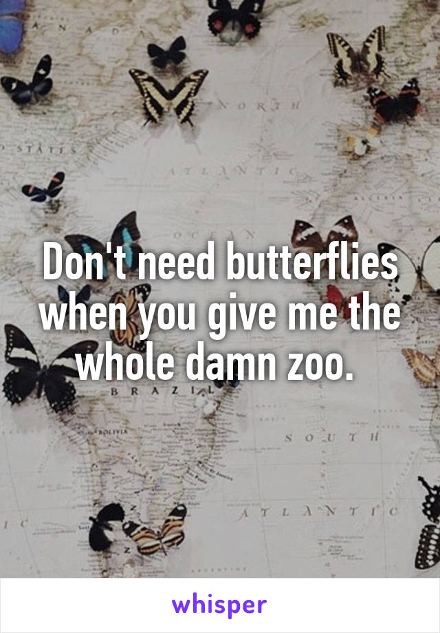 Don't need butterflies when you give me the whole damn zoo. 