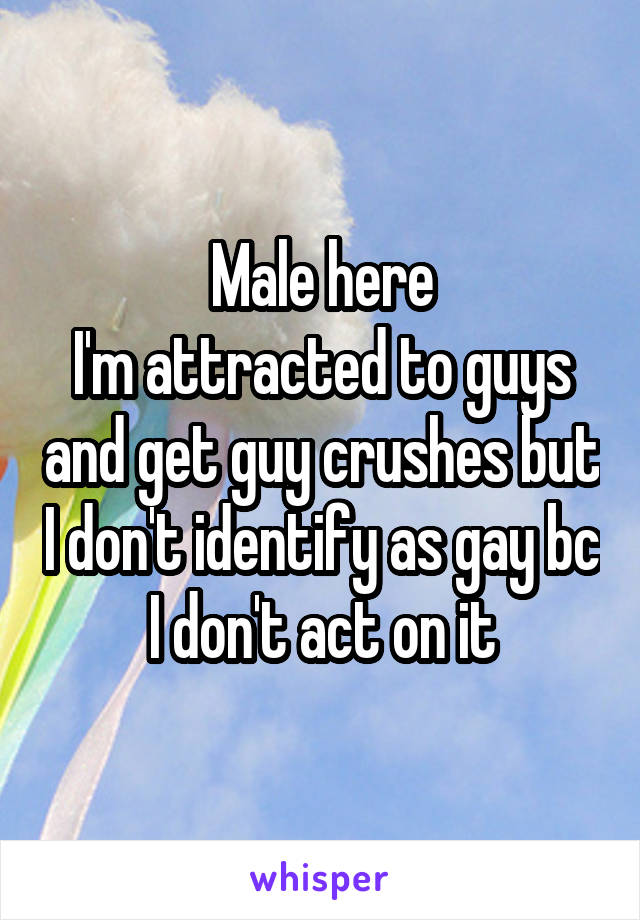 Male here
I'm attracted to guys and get guy crushes but I don't identify as gay bc I don't act on it