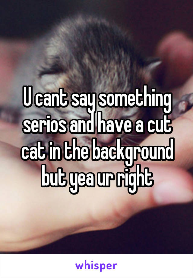 U cant say something serios and have a cut cat in the background but yea ur right