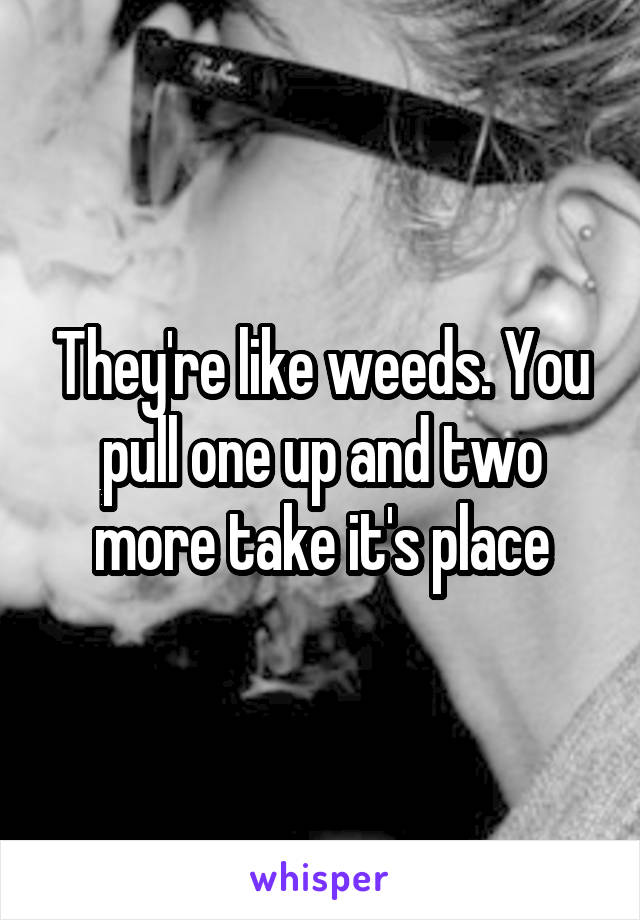 They're like weeds. You pull one up and two more take it's place