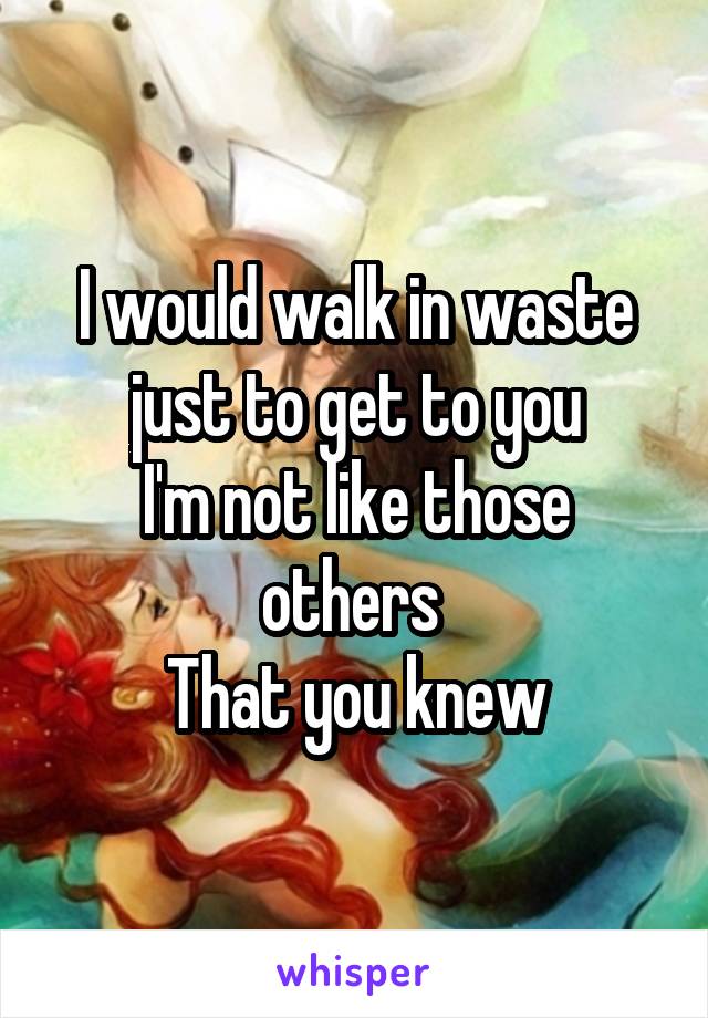 I would walk in waste just to get to you
I'm not like those others 
That you knew