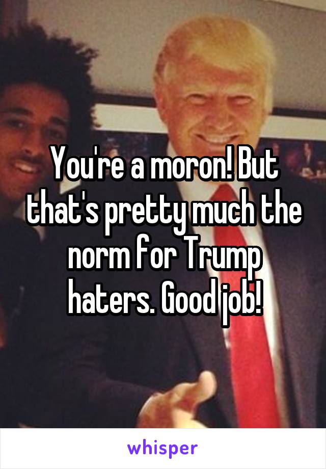 You're a moron! But that's pretty much the norm for Trump haters. Good job!