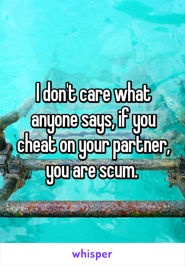 I don't care what anyone says, if you cheat on your partner, you are scum. 