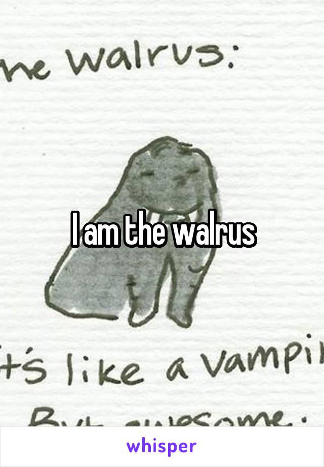 I am the walrus