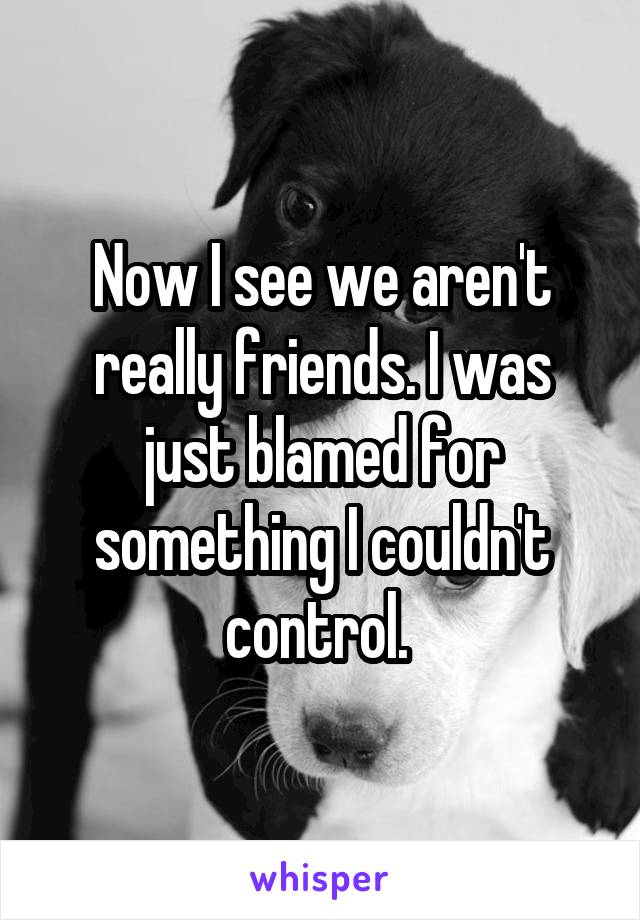 Now I see we aren't really friends. I was just blamed for something I couldn't control. 