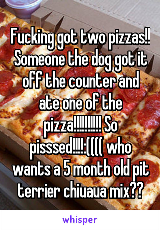 Fucking got two pizzas!! Someone the dog got it off the counter and ate one of the pizza!!!!!!!!!! So pisssed!!!!:(((( who wants a 5 month old pit terrier chiuaua mix??